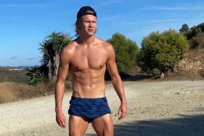 haaland4