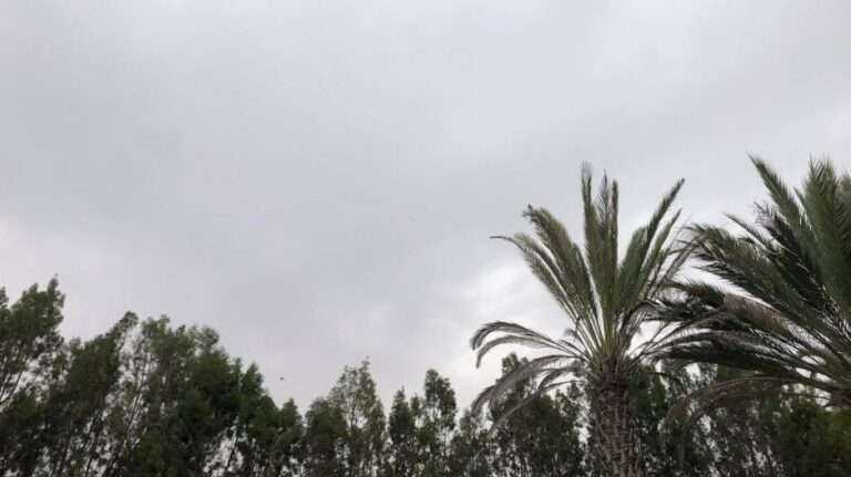 Ηλιόλουστο Σαββατοκύριακο, επιστρέφει η σκόνη