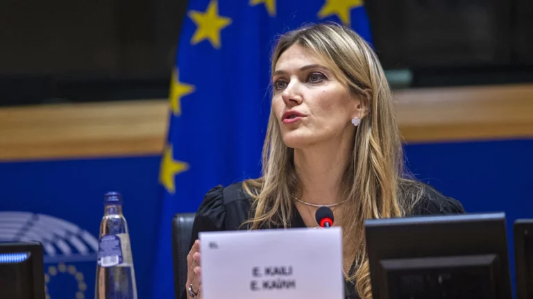 Τι είπε στις πρώτες καταθέσεις της η Καϊλή…