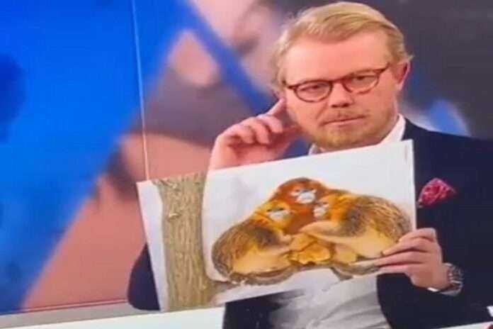 ΔΑΝΟΣ