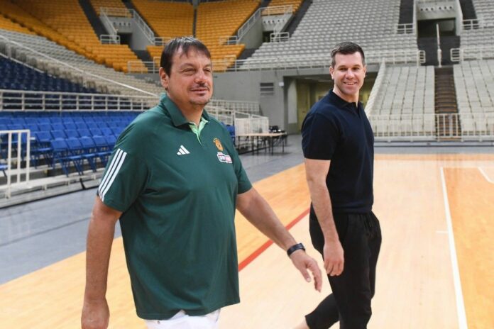 ataman-becirovic