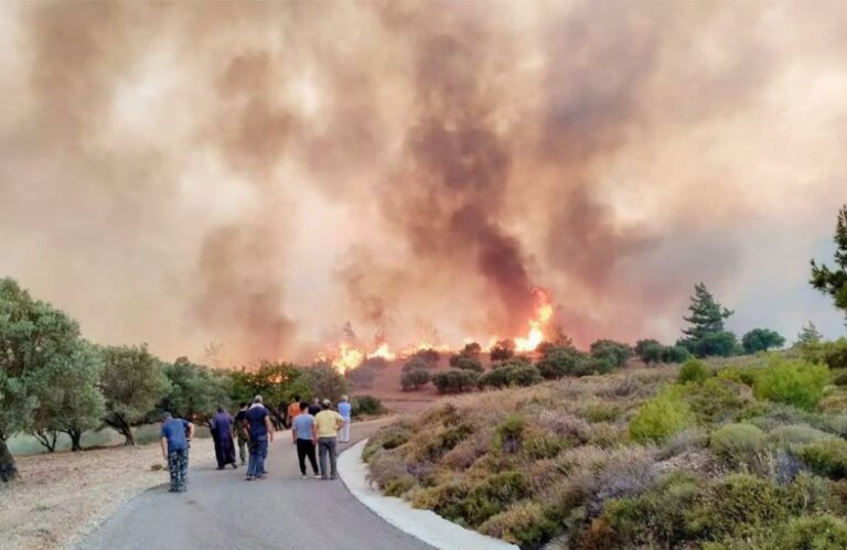 Πανεπιστήμιο Αθηνών: 135 χιλιάδες στρέμματα καμένου δάσους στη Ρόδο