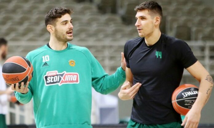 papapetrou mitoglou
