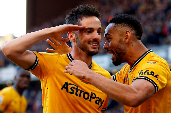 wolves