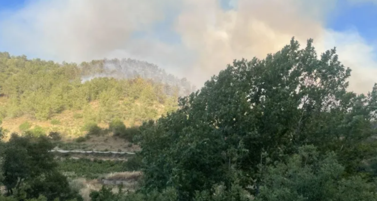 Προσπάθειες να αποτραπεί η επέκταση της πυρκαγιάς στο δάσος του Μαχαιρά
