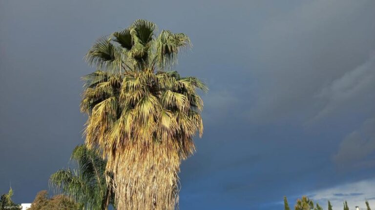 Ισχυροί άνεμοι και μεμονωμένες βροχές στο «μενού» του καιρού