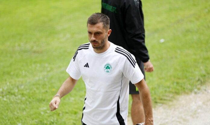 kotsiras kwtsiras