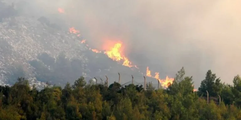 Κάηκαν 85.000 στρέμματα από τις πυρκαγιές στην Αττική