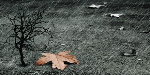 Συννεφιά, βροχές και τσουχτερό κρύο στο καιρικό «μενού»